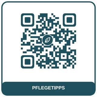 QR-Code-Vorlage Pflegehinweise: Dunkles Blaugrün für Pflege- und Anleitungsseiten